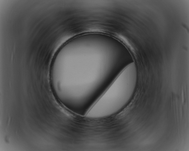 X0000096651331200802050925
