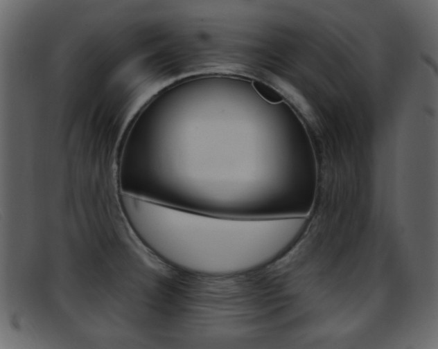 X0000096651332200802050925