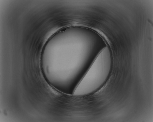 X0000096651333200802050925
