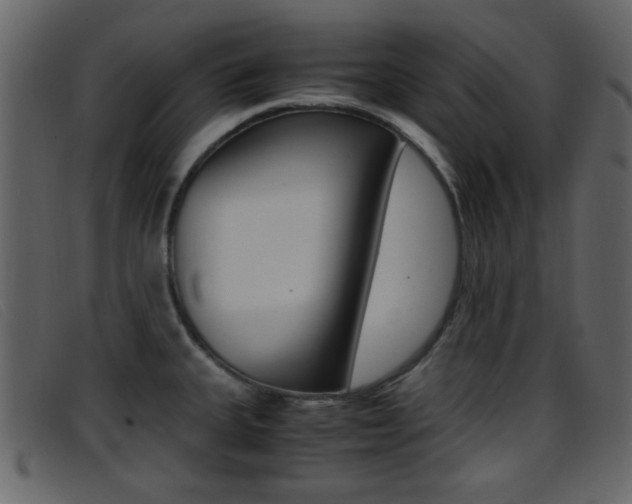 X0000096651335200802050925