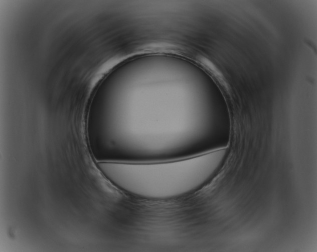 X0000096651336200802050925