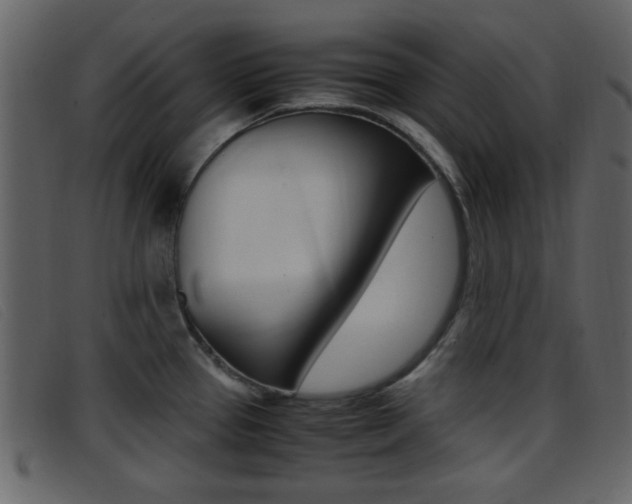 X0000096651337200802050925