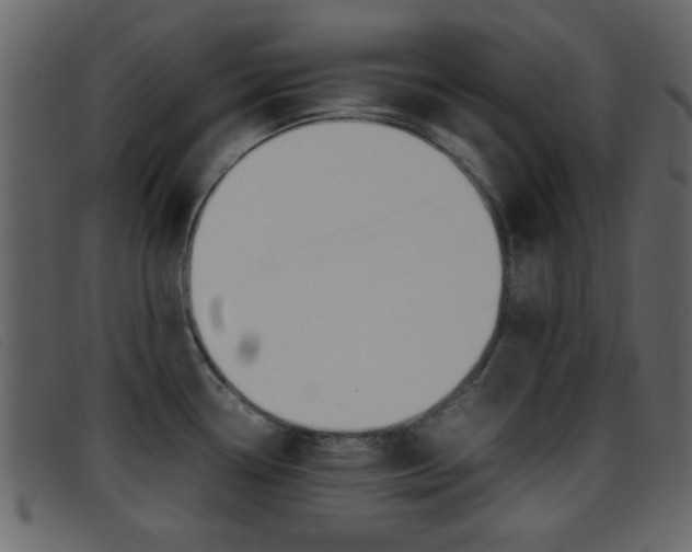 X0000096651338200802050925