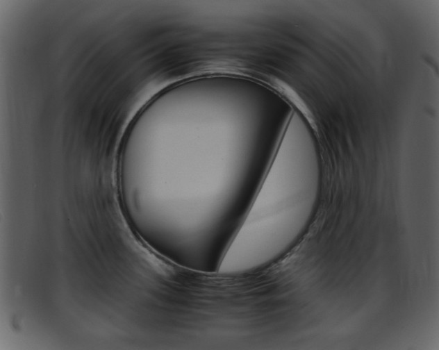 X0000096651339200802050925