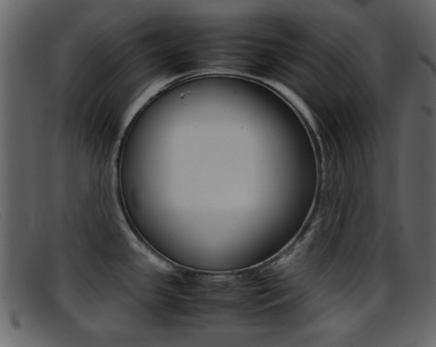 X0000096651341200802050925