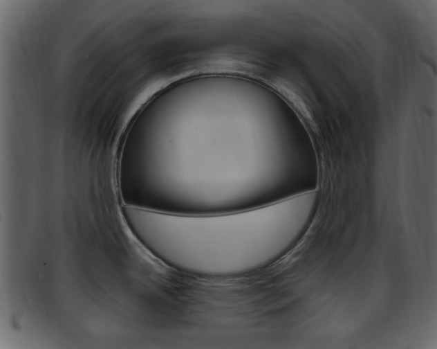 X0000096651342200802050925