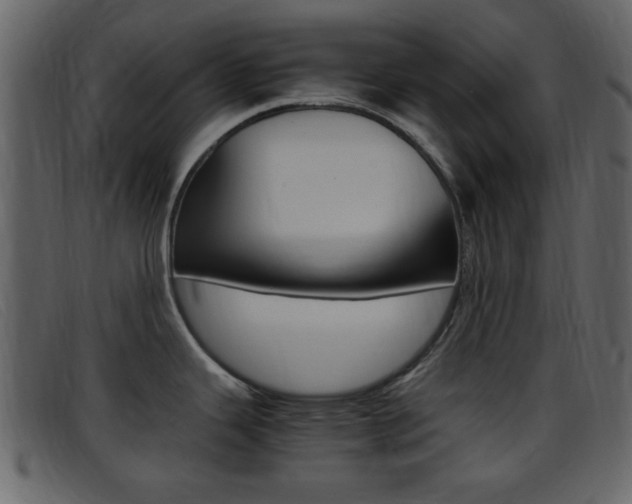 X0000096651343200802050925