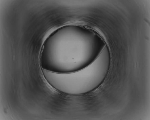 X0000096651344200802050925