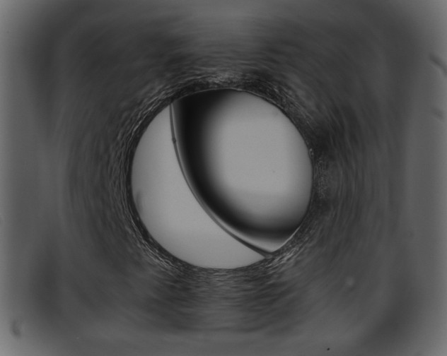 X0000096651345200802050925