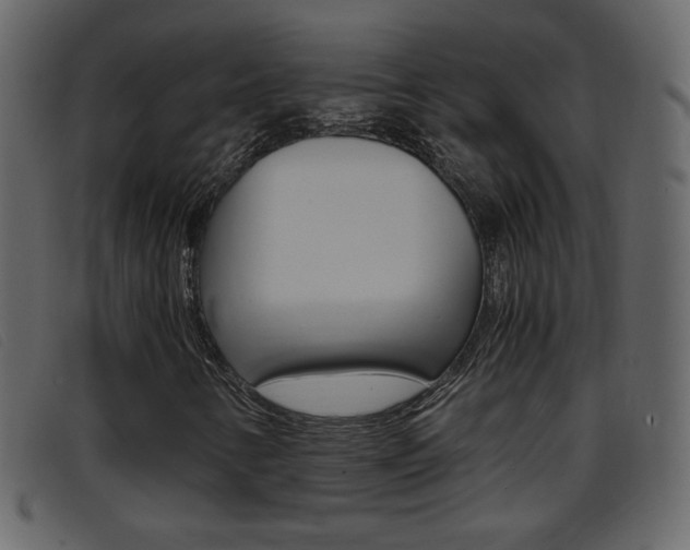 X0000096651346200802050925