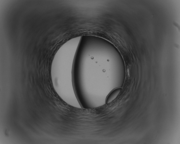 X0000096651347200802050925