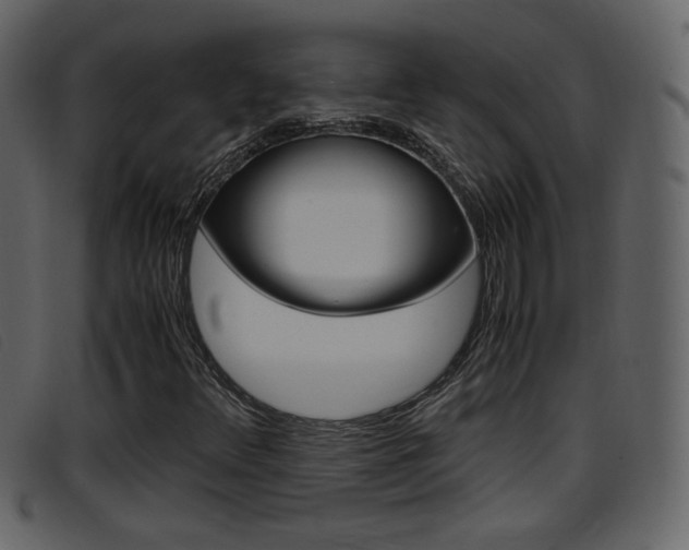 X0000096651348200802050925