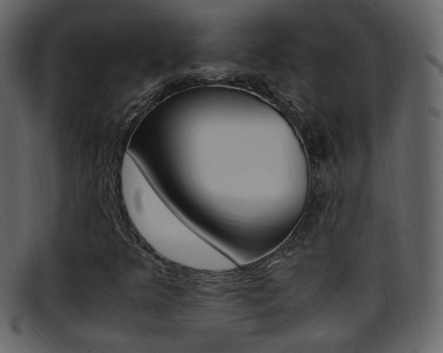 X0000096651349200802050925
