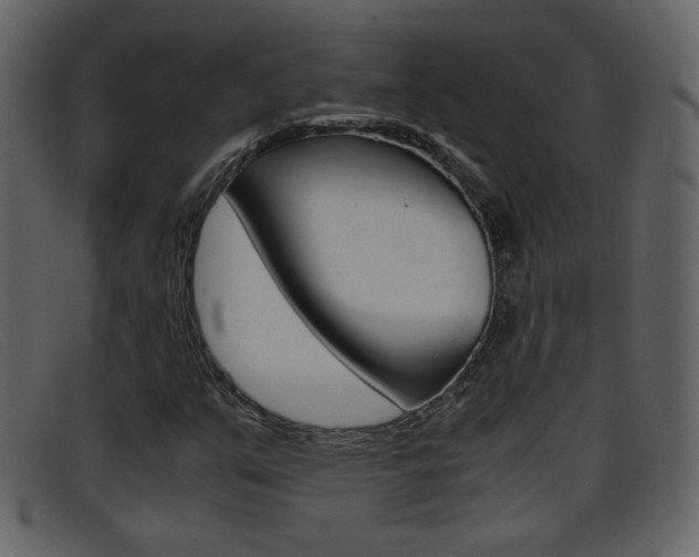 X0000096651351200802050925