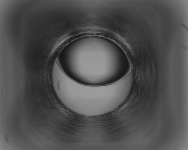 X0000096651352200802050925