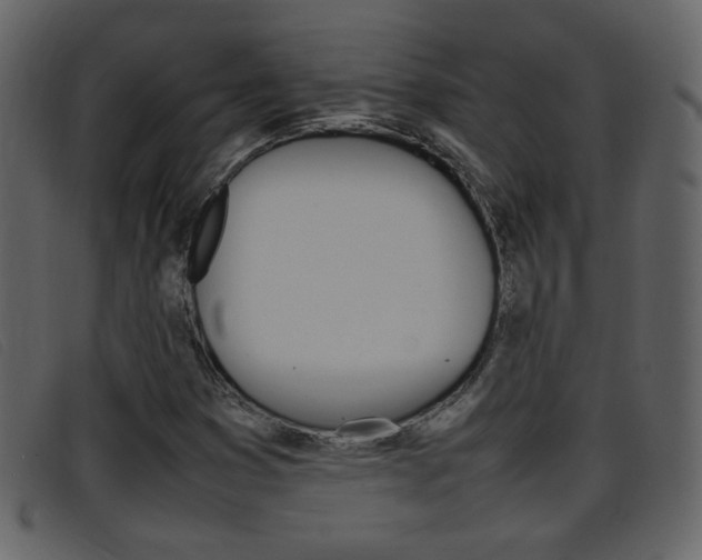 X0000096651353200802050925