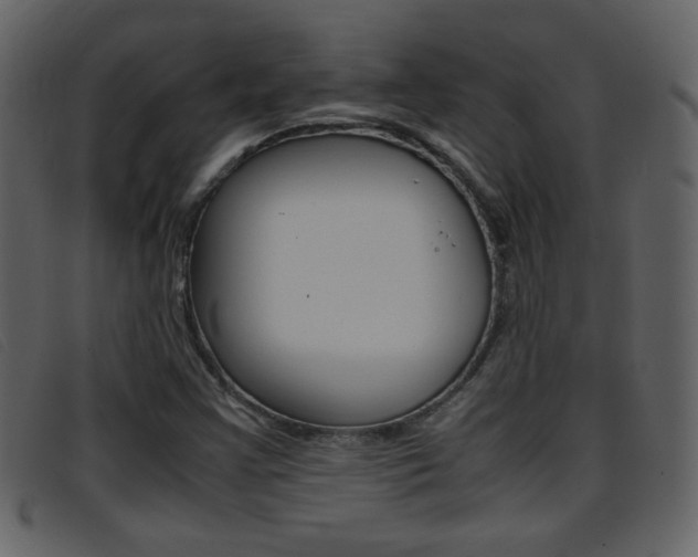 X0000096651355200802050925