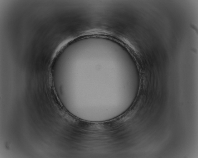X0000096651358200802050925