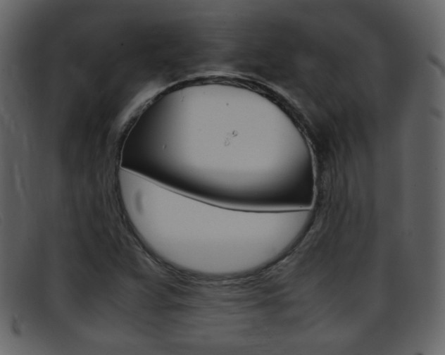 X0000096651359200802050925