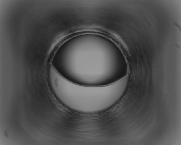 X0000096651360200802050925