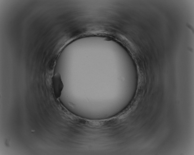 X0000096651361200802050925