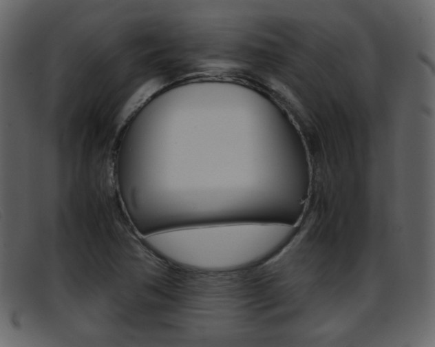 X0000096651362200802050925