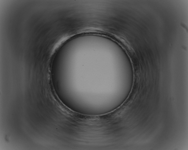X0000096651363200802050925