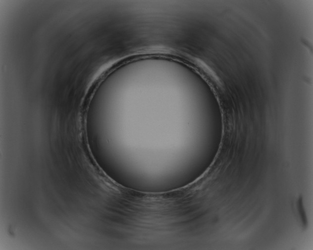 X0000096651364200802050925