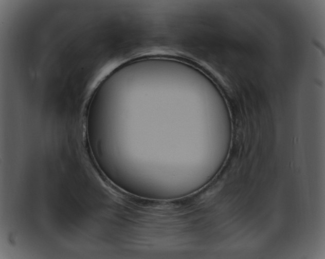 X0000096651367200802050924