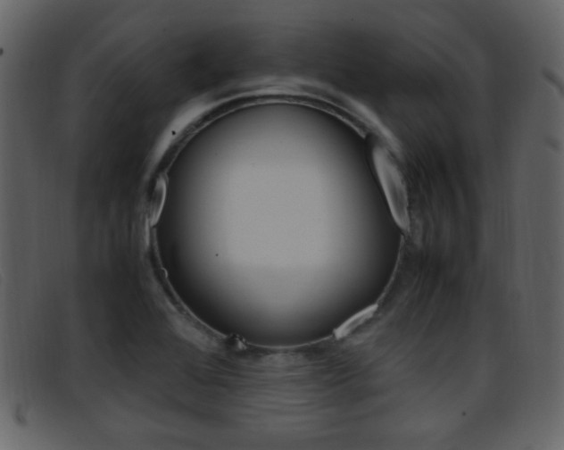 X0000096651368200802050924