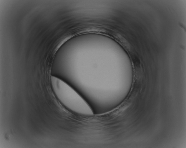X0000096651369200802050924