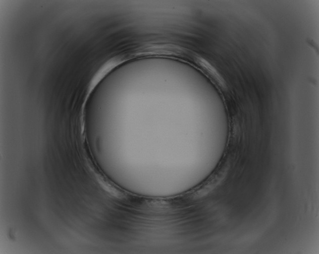 X0000096651370200802050924