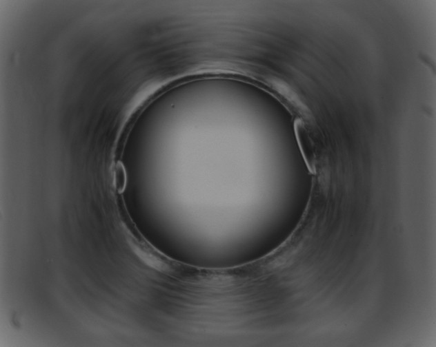 X0000096651372200802050924