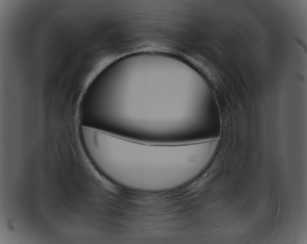 X0000096651375200802050924