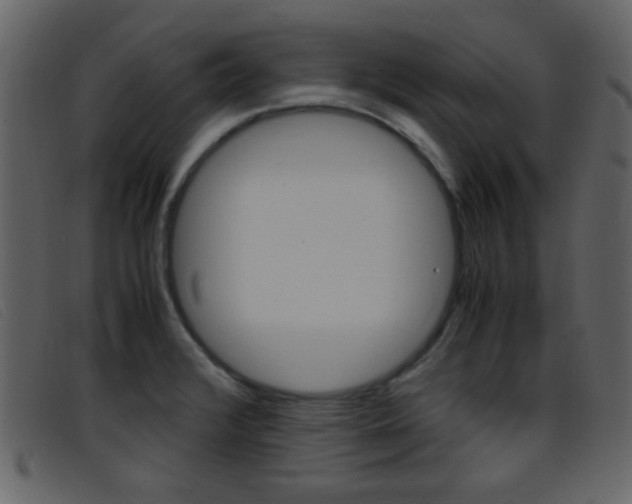 X0000096651376200802050924