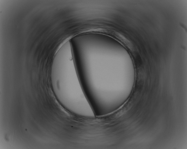X0000096651377200802050924