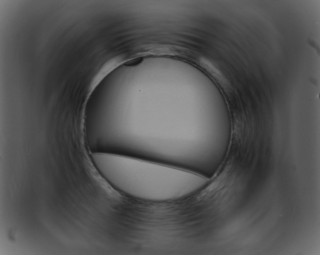 X0000096651378200802050924