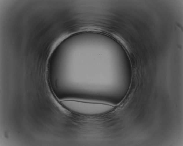 X0000096651379200802050924
