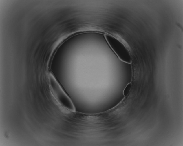 X0000096651380200802050924
