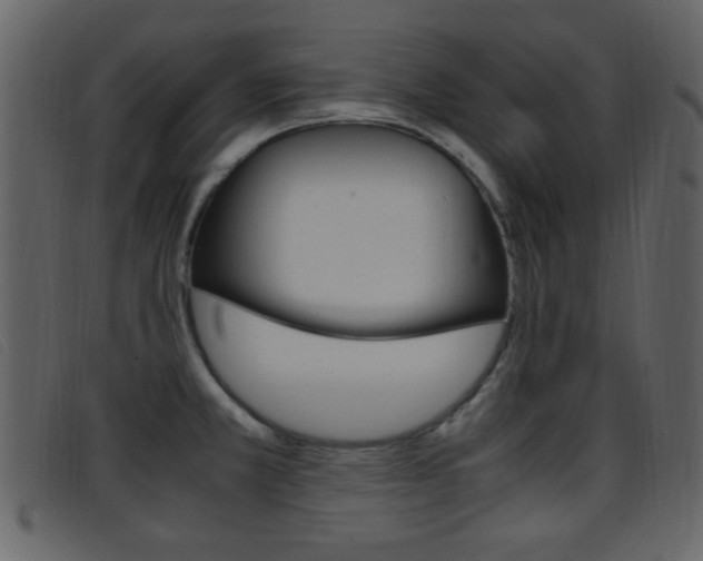 X0000096651381200802050924