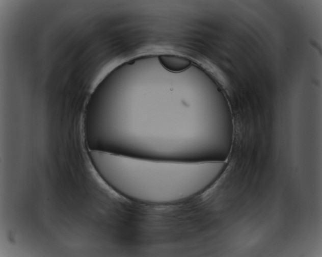 X0000096651382200802050924