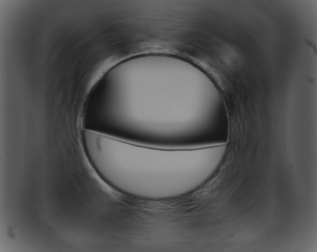 X0000096651383200802050924