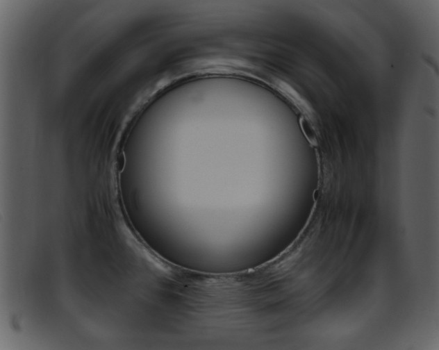 X0000096651384200802050924