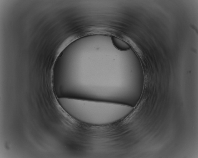 X0000096651386200802050924
