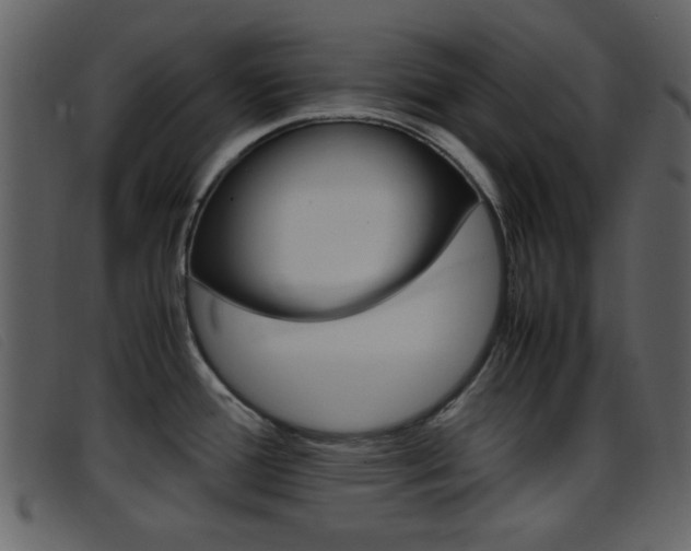 X0000096651388200802050924