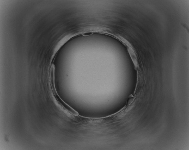 X0000096651389200802050924
