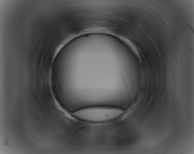 X0000096651390200802050924