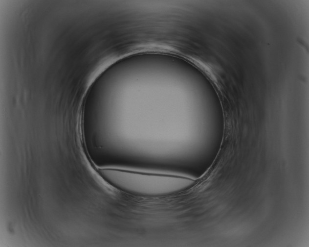 X0000096651391200802050924