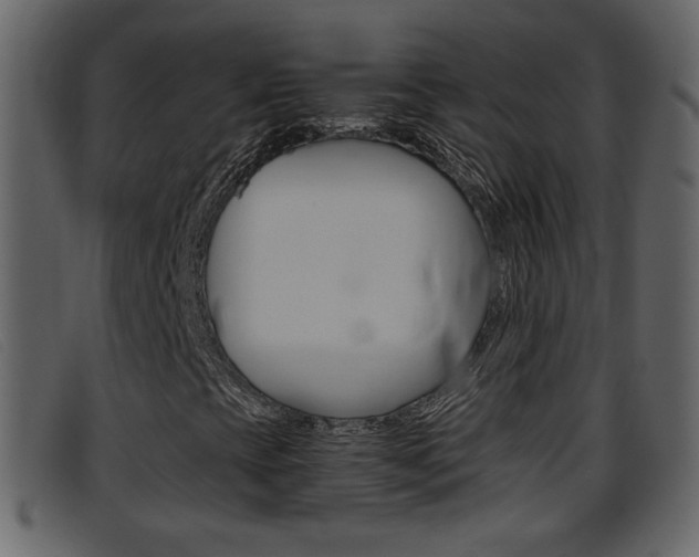 X0000096651393200802050923