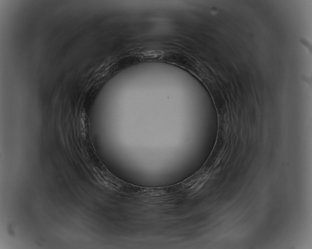 X0000096651394200802050923